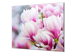 Glasdekor Ochranné sklo květy magnolie růžové - Ochranná deska: 55x55cm, Lepení na zeď: S lepením na zeď