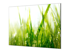 Glasdekor Ochranná deska zelená tráva s rosou - Ochranná deska: 60x80cm
