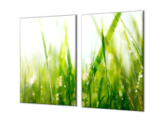 Glasdekor Ochranná deska zelená tráva s rosou - Ochranná deska: 60x80cm