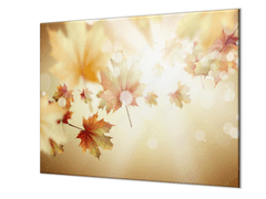 Glasdekor Skleněný kryt javorové listí v září slunce - Ochranná deska: 60x70cm, Lepení na zeď: S lepením na zeď