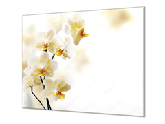 Glasdekor Ochranná deska květy žluté orchideje - Ochranná deska: 70x70cm, Lepení na zeď: S lepením na zeď