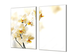 Glasdekor Ochranná deska květy žluté orchideje - Ochranná deska: 70x70cm, Lepení na zeď: S lepením na zeď