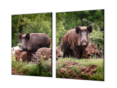 Glasdekor Ochranná deska rodinka divokých prasat - Ochranná deska: 60x90cm, Lepení na zeď: S lepením na zeď