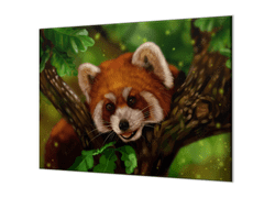 Glasdekor Ochranná deska panda červená na stromě - Ochranná deska: 40x60cm, Lepení na zeď: Bez lepení na zeď