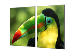 Glasdekor Ochranné sklo za varnou desku papoušek tukan - Ochranná deska: 65x65cm, Lepení na zeď: S lepením na zeď