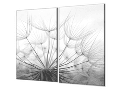 Glasdekor Ochranná deska chmýří pampelišky šedé - Ochranná deska: 50x70cm, Lepení na zeď: Bez lepení na zeď