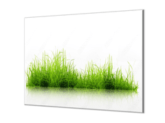 Glasdekor Ochranná deska zelená tráva na bílém podkladu - Ochranná deska: 60x90cm, Lepení na zeď: Bez lepení na zeď