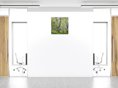 Glasdekor Nástěnné hodiny 30x30cm příroda břízový les - Materiál: kalené sklo