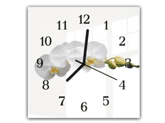 Glasdekor Nástěnné hodiny 30x30cm bílé květy orchideje na stonku a bílém pozadí - Materiál: plexi