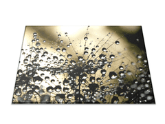 Glasdekor Skleněné prkénko abstraktní chmýří pampelišky s rosou - Prkénko: 30x20cm