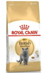 Royal Canin British Shorthair Adult granule pro dospělé krátkosrsté kočky 10 kg