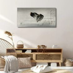 COLORAY.CZ Obraz na plátně Zvířata Birds Water 100x50 cm