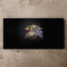 COLORAY.CZ Obraz na plátně Zvířecí pták Eagle 120x60 cm