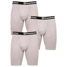 Horsefeathers 3PACK pánské boxerky Dynasty long (AM195C) - velikost M