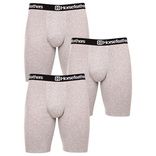 Horsefeathers 3PACK pánské boxerky Dynasty long (AM195C)