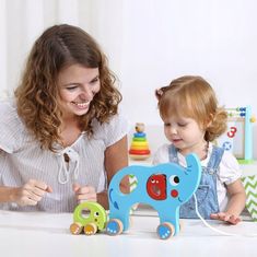 Tooky Toy TOOKY TOY Elephant Family Pulling Sorter 2v1 Z