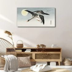 COLORAY.CZ Obraz na plátně Zvířata ptáci Sky Sun 100x50 cm