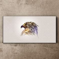 COLORAY.CZ Obraz na plátně Zvířecí pták Eagle 100x50 cm