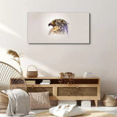 COLORAY.CZ Obraz na plátně Zvířecí pták Eagle 100x50 cm