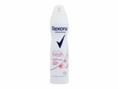 Rexona 150ml motionsense stay fresh 48h, antiperspirant