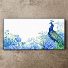 COLORAY.CZ Obraz na plátně Květiny pták Peacock 100x50 cm