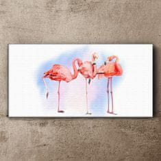COLORAY.CZ Obraz na plátně Zvířata ptáci plameňáci 100x50 cm