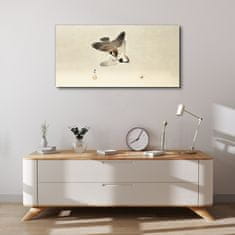 COLORAY.CZ Obraz na plátně Zvířata Birds Sparrows 100x50 cm