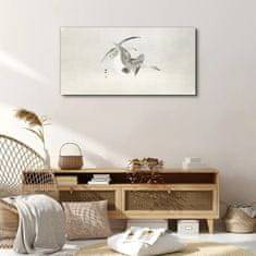 COLORAY.CZ Obraz na plátně Zvířata ptáci husí obloha 100x50 cm