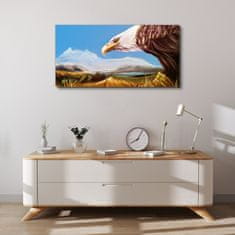 COLORAY.CZ Obraz na plátně Zvířecí pták orel obloha 100x50 cm