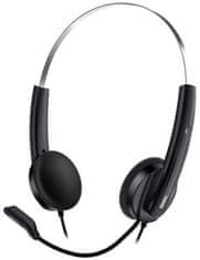 Genius HS-220U, Headset, náhlavní, drátový, s mikrofonem, ovládání hlasitosti, USB, černo-stříbrný