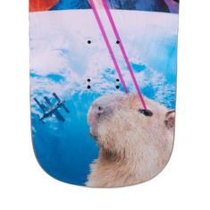 Switch Boards Deck longboardboardový Switch Capybara Collage pro cruising a surfing 31.8", 5mm rocker, 3D grafika, PU sidewalls, voděodolný, vrstva proti poškrábání