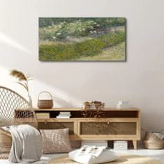 COLORAY.CZ Obraz na plátně Abstrakce lesní trávy 100x50 cm