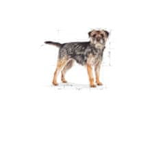 Royal Canin Mini Sterilised Adult 1kg