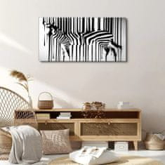 COLORAY.CZ Obraz na plátně zebra 100x50 cm