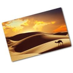 Wallmuralia Kuchyňská deska skleněná Velbloud Sahara 2x40x52 cm