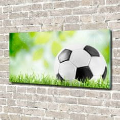 Wallmuralia Foto-obraz fotografie na skle Fotbal 100x50 cm 2 úchytky