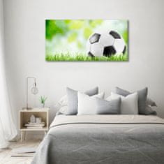 Wallmuralia Foto-obraz fotografie na skle Fotbal 100x50 cm 2 úchytky