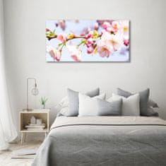 Wallmuralia Foto-obraz fotografie na skle Květy višně 120x60 cm 4 úchytky