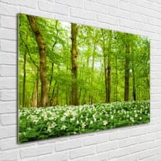Wallmuralia Foto obraz skleněný horizontální Květiny v lese 100x70 cm 2 úchytky