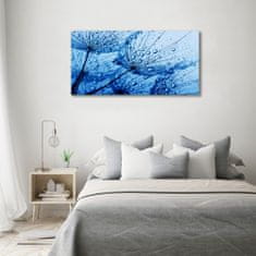 Wallmuralia Foto obraz skleněný horizontální Semeno pampelišky 120x60 cm 2 úchytky