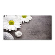 Wallmuralia Foto obraz fotografie na skle Gerbera 125x50 cm 2 úchytky