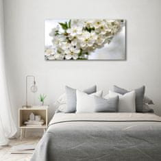 Wallmuralia Foto obraz fotografie na skle Květy višně 120x60 cm 2 úchytky