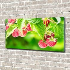 Wallmuralia Foto obraz skleněný horizontální Maliny v zahradě 100x50 cm 4 úchytky