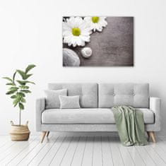 Wallmuralia Foto obraz fotografie na skle Gerbera 100x70 cm 4 úchytky