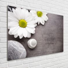 Wallmuralia Foto obraz fotografie na skle Gerbera 100x70 cm 4 úchytky