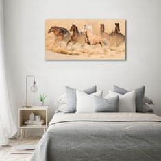Wallmuralia Foto obraz skleněný horizontální Koně poušť 100x50 cm 2 úchytky
