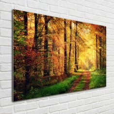 Wallmuralia Fotoobraz na skle Podzimní les 100x70 cm 4 úchytky