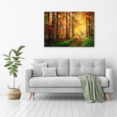 Wallmuralia Fotoobraz na skle Podzimní les 100x70 cm 4 úchytky