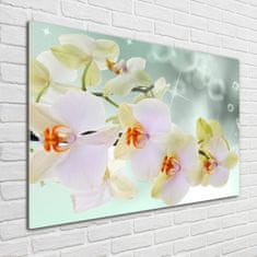 Wallmuralia Foto obraz fotografie na skle Bílá orchidej 100x70 cm 4 úchytky