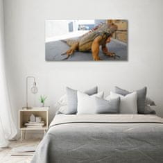 Wallmuralia Foto-obraz na skle Iguana 100x50 cm 2 úchytky